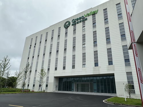 探訪 這款國產(chǎn) 老年癡呆 知名藥停產(chǎn) 投資12億元的新廠也空置了